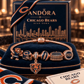 CCB Gold Charm Bracelet Set NHVH